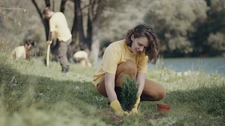 Best Organic Lawn Care Solutions  in Hardeeville, SC